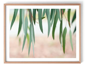 Gum Leaves Print, Gum Leaf Print, Australian Native Print, Australiana Print, Leaf Print, Australian Botanical Print