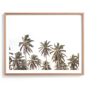 Tropical Palms Poster Print, Palm Tree Poster, Palm Trees, Green Palms, Palm Tree Wall Art, Palm Tree Print