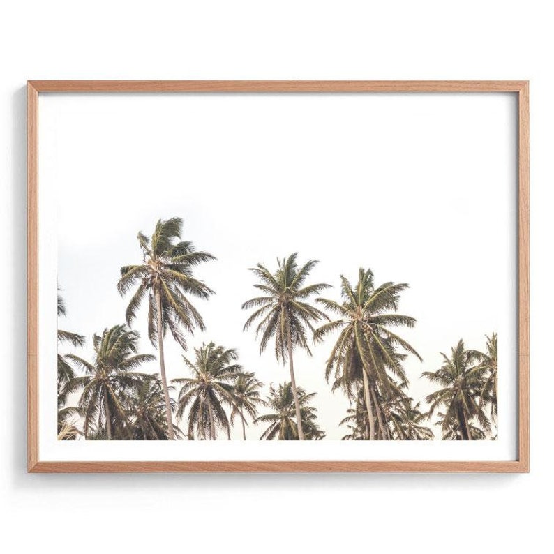 May include: A framed print of a tropical scene with palm trees against a white sky. The image is in a light wood frame.