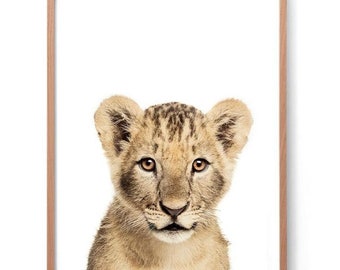 Baby Lion Print, Exclusive Photography Print