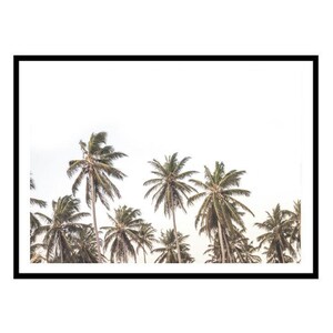 May include: A framed print of a tropical scene with palm trees against a white sky.