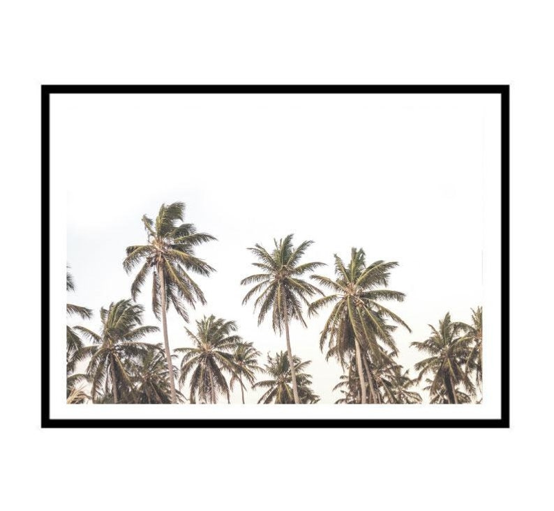 May include: A framed print of a tropical scene with palm trees against a white sky.