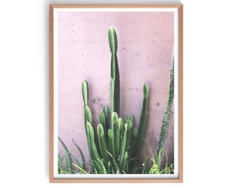 Cactus Print, Cactus Photography, Plant Prints, Botanical Print, Plant Photography Print, Cacti Print, Prickly Pear Print, Plants on Pink