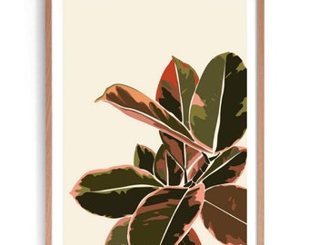 Rubber Plant Illustration Print, Australian Native Print, Leaf Print, Australian Botanical Print