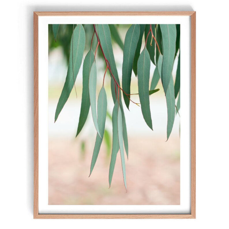 Gum Leaves Print Gum Leaf Print Australian Native Print Etsy Australia