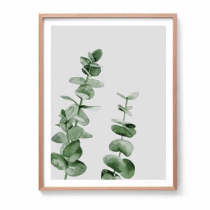 May include: A framed print with a watercolor illustration of two sprigs of eucalyptus leaves on a light gray background.