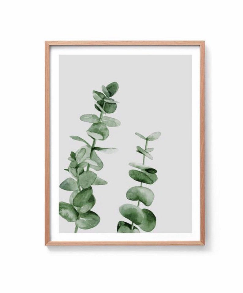 May include: A framed print with a watercolor illustration of two sprigs of eucalyptus leaves on a light gray background.