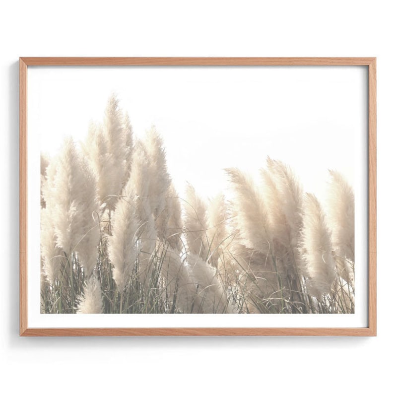 Pampas Grass Print Pampas Grass Art Print Pampas Photography Etsy