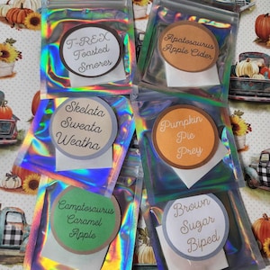 Może przedstawiać: Sześć małych torebek z holograficznym, tęczowym materiałem, każda zawierająca okrągłą naklejkę z inną nazwą dinozaura i zapachem. Zapachy to T-Rex Toasted Smores, Apatosaurus Apple Cider, Skelata Sweata Weatha, Pumpkin Pie Prey, Camptosaurus Caramel Apple i Brown Sugar Biped.