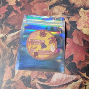 NEW Leptoceratops Leaves TinyDinyCreation Scented Diamond Painting Putty, Diamond Art Putty, Wax Alternative