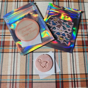 Può includere: Due borse con cerniera iridescenti con un ciondolo rotondo di dinosauro in argilla rosa. Una borsa ha un adesivo che dice "Tiny Dino Creations" con un motivo di dinosauri. L'altra borsa ha un adesivo che dice "Parkosaurus Pumpkin Orange Bread".