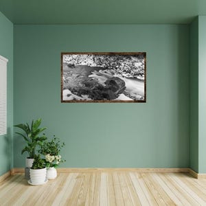 Black and White River Scene