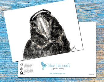 American Crow stationery greeting note cards prints; watercolor, pen art