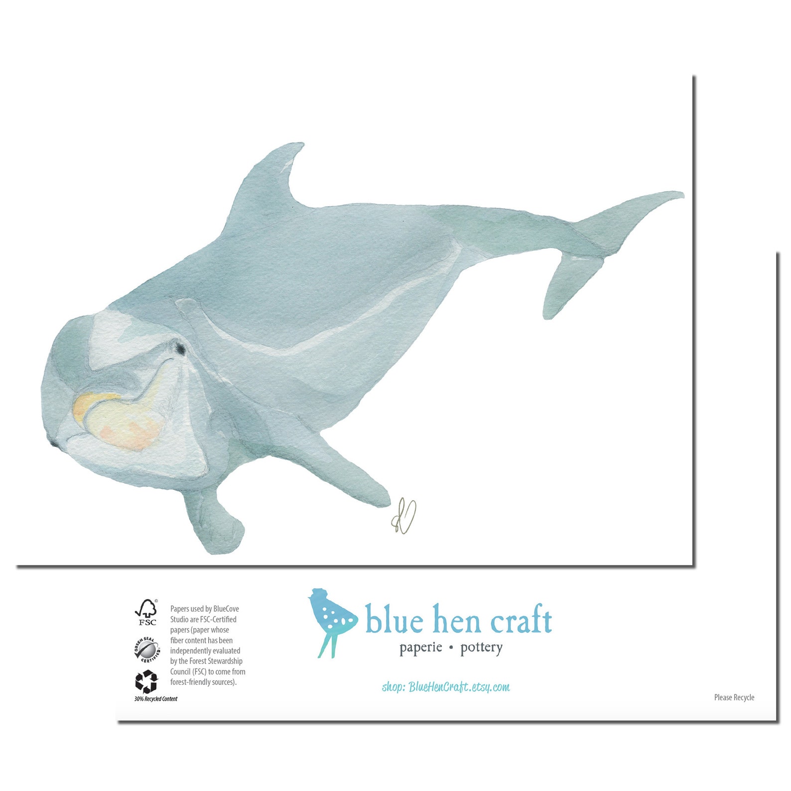 Atlantic Bottlenose Dolphin Art Watercolor Stationery Greeting Note ...