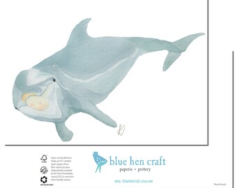 Atlantic Bottlenose Dolphin art watercolor stationery greeting note cards prints