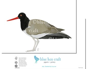 Watercolor Art/Prints, Greeting Cards, Stationery, Note Cards: American Oystercatcher