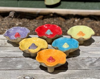 Bee drinking station, flower, bee watering station, bath, small insect water bath, colorful flower