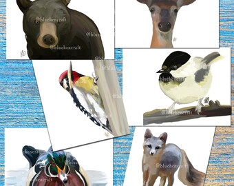Black Bear, Deer, Fox, Chickadee, Wood Duck, Sapsucker art stationery greeting note cards prints