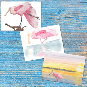May include: Three watercolor paintings of a pink roseate spoonbill bird. The first painting shows the bird standing on a branch. The second painting shows the bird standing in shallow water. The third painting shows the bird standing in a body of water with a sunset in the background.