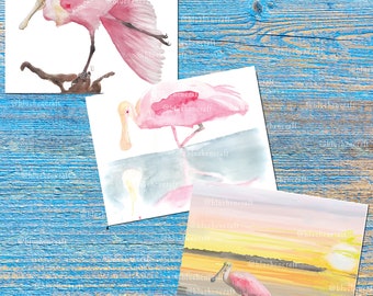 Roseate Spoonbill watercolor art stationery set greeting note cards prints