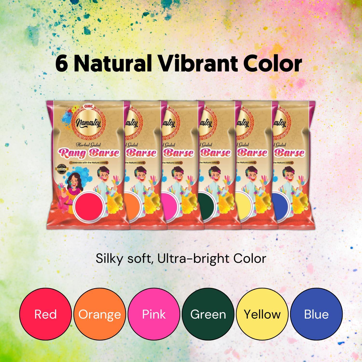 Bulk Holi Color Powder Packs  (36 or 72 Units) | 6 Assorted Colors | Eco-Friendly, Skin-Safe | Event & Festival Supplies