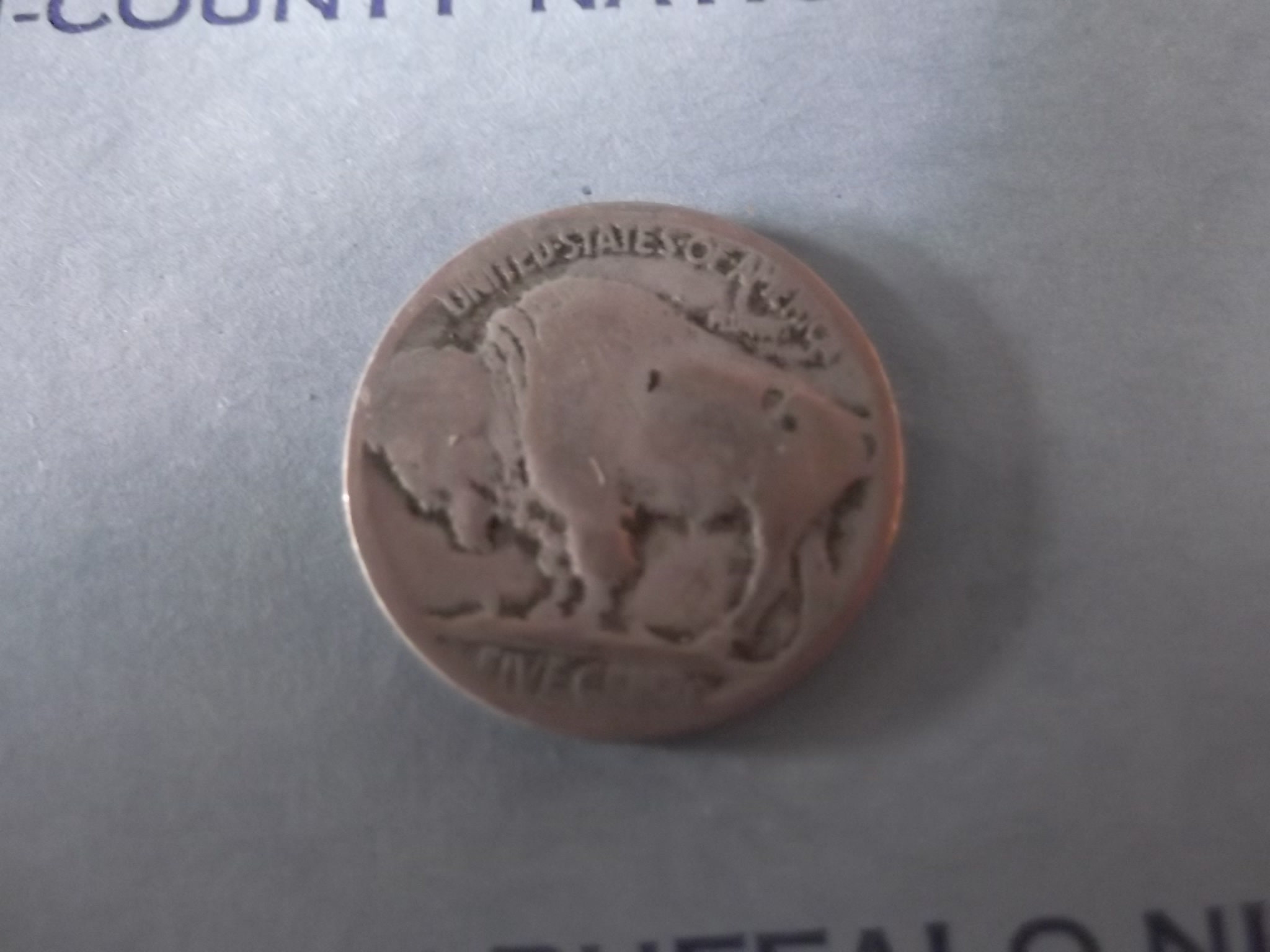 Buffalo Nickel Bank - Etsy