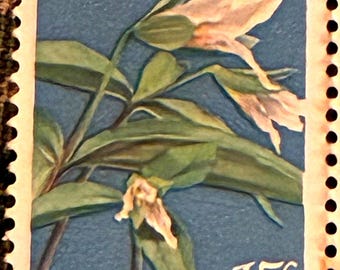 1979年製 USPS 絶滅危惧植物切手（ヴィンテージ）、15セント切手（選択