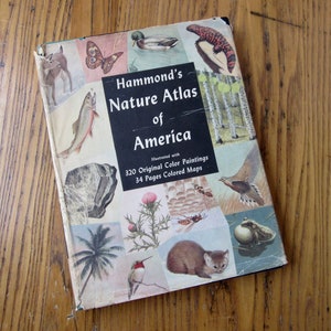 Hammond's natuuratlas van Amerika, 1952, groen boek, 320 schilderijen, 34 kaarten, Rutgers, cadeau voor hem, cadeau voor haar, vintage natuurboek