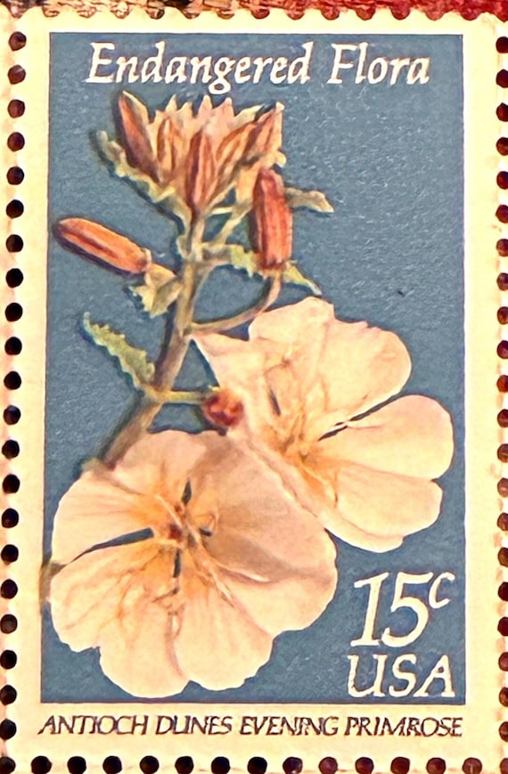 1979年製 USPS 絶滅危惧植物切手（ヴィンテージ）、15セント切手（選択