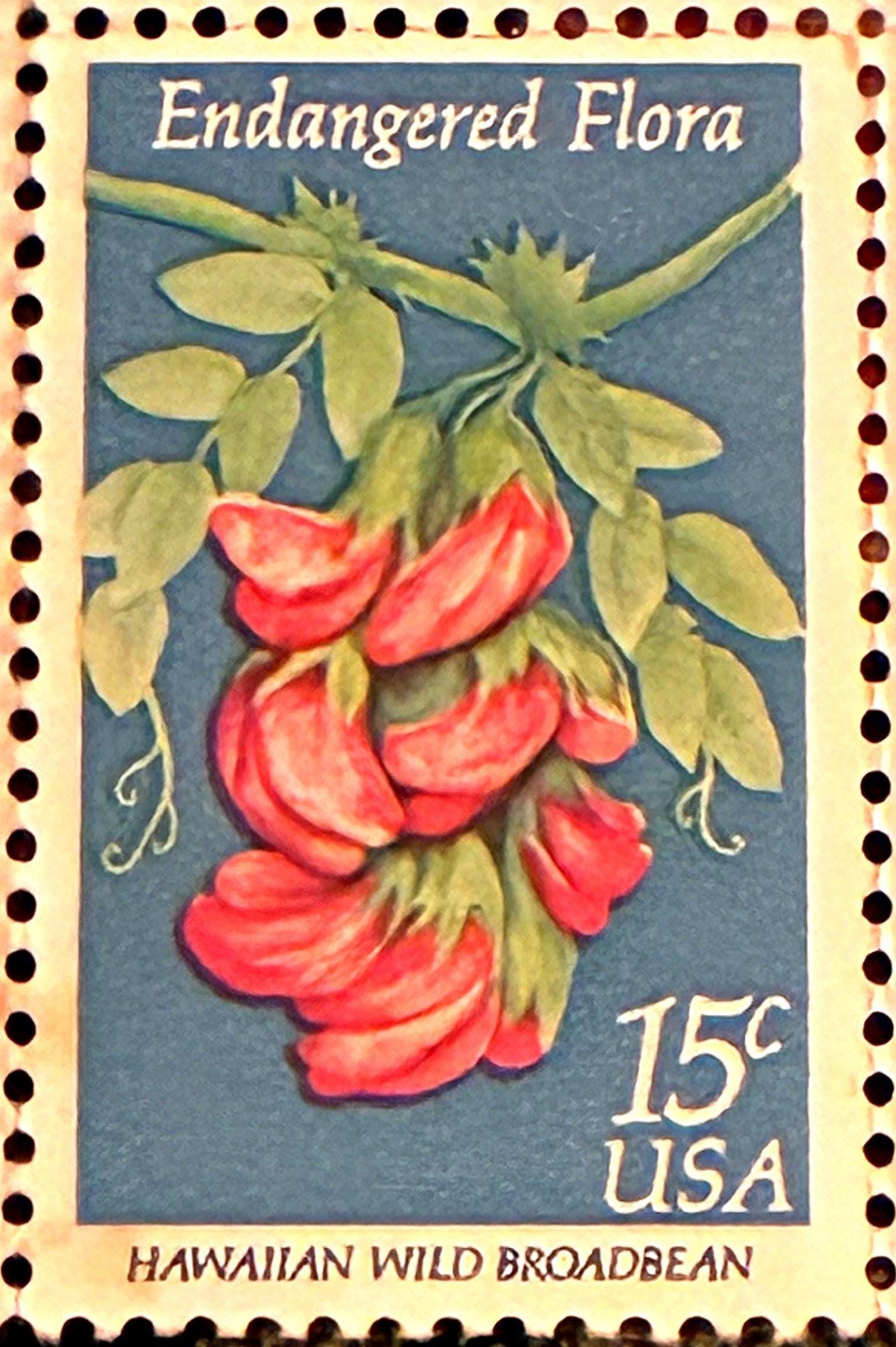 1979年製 USPS 絶滅危惧植物切手（ヴィンテージ）、15セント切手（選択
