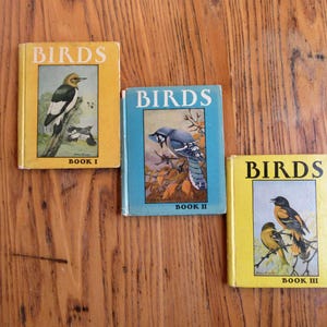Vintage 1934 Birds Book, Set of 3, Julius King, Bird Picture Book, Vintage Bird Book, Bird Lover Gift, Bird Collectible, Gift For Him/Her
