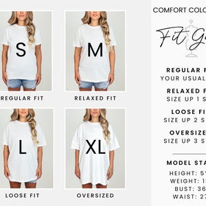 Comfort Colors Funny IBCLC Shirt, Lactation Consultant Goose Tee, Breastfeeding Specialist Top Gift, Milk Expert Apparel, LC Nurse Outfit