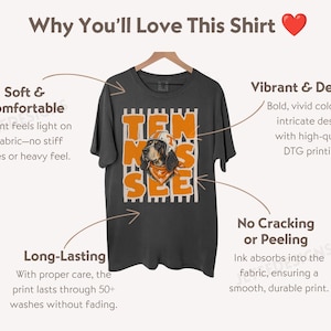 May include: A dark grey short-sleeve t-shirt featuring a graphic print of a dog wearing a helmet and bandana. The text TEN SEE is printed in large orange letters over a white vertical striped background. The shirt is displayed on a wooden hanger.