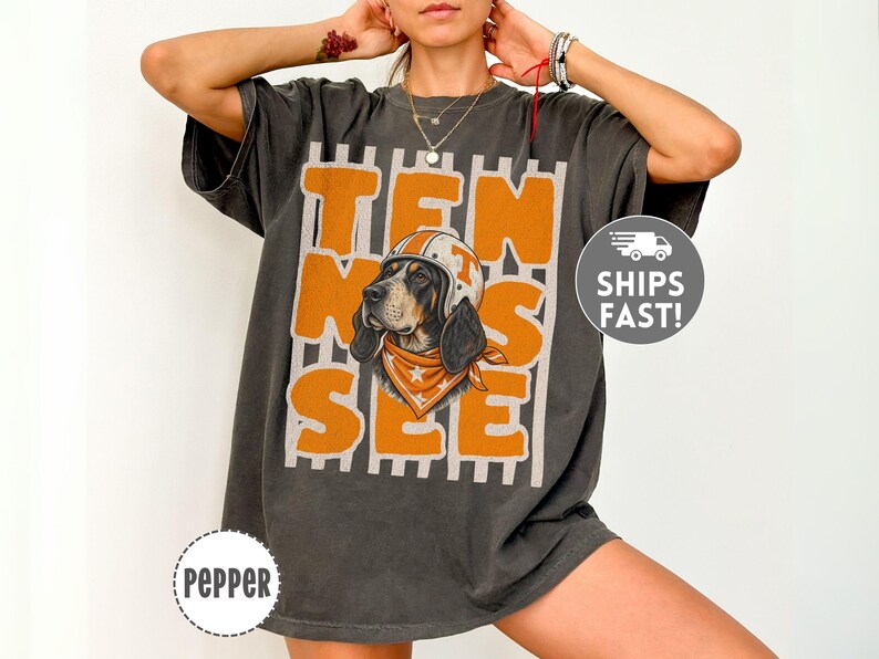 May include: A charcoal grey short-sleeve t-shirt featuring a graphic of a hound dog wearing a white and orange helmet and an orange bandana. The text "TEN NES SEE" is printed in large orange block letters over a background of vertical white stripes.