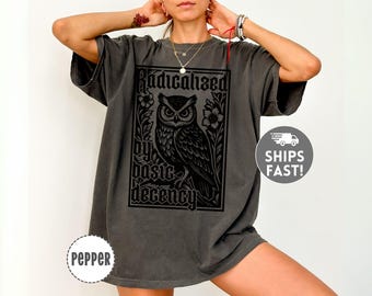 Radicalized by Basic Decency Shirt Comfort Colors Political Owl Graphic Tee Activist Anti Trump Sweatshirt Democracy Social Justice Hoodie