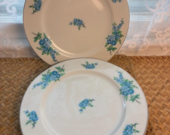 Vintage Royalton China Plates Set | Blue Forget-Me-Not Porcelain | Winter Brunch Dining | Holiday Dinnerware