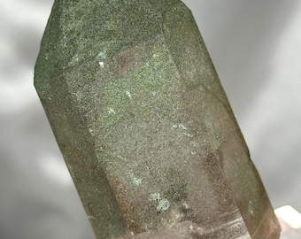 Smoky Quartz Point with Chlorite Dusting – Tiefen Glacier, Urseren, Switzerland – Alpine Mineral Specimen, Grounding & Cleansing Crystal