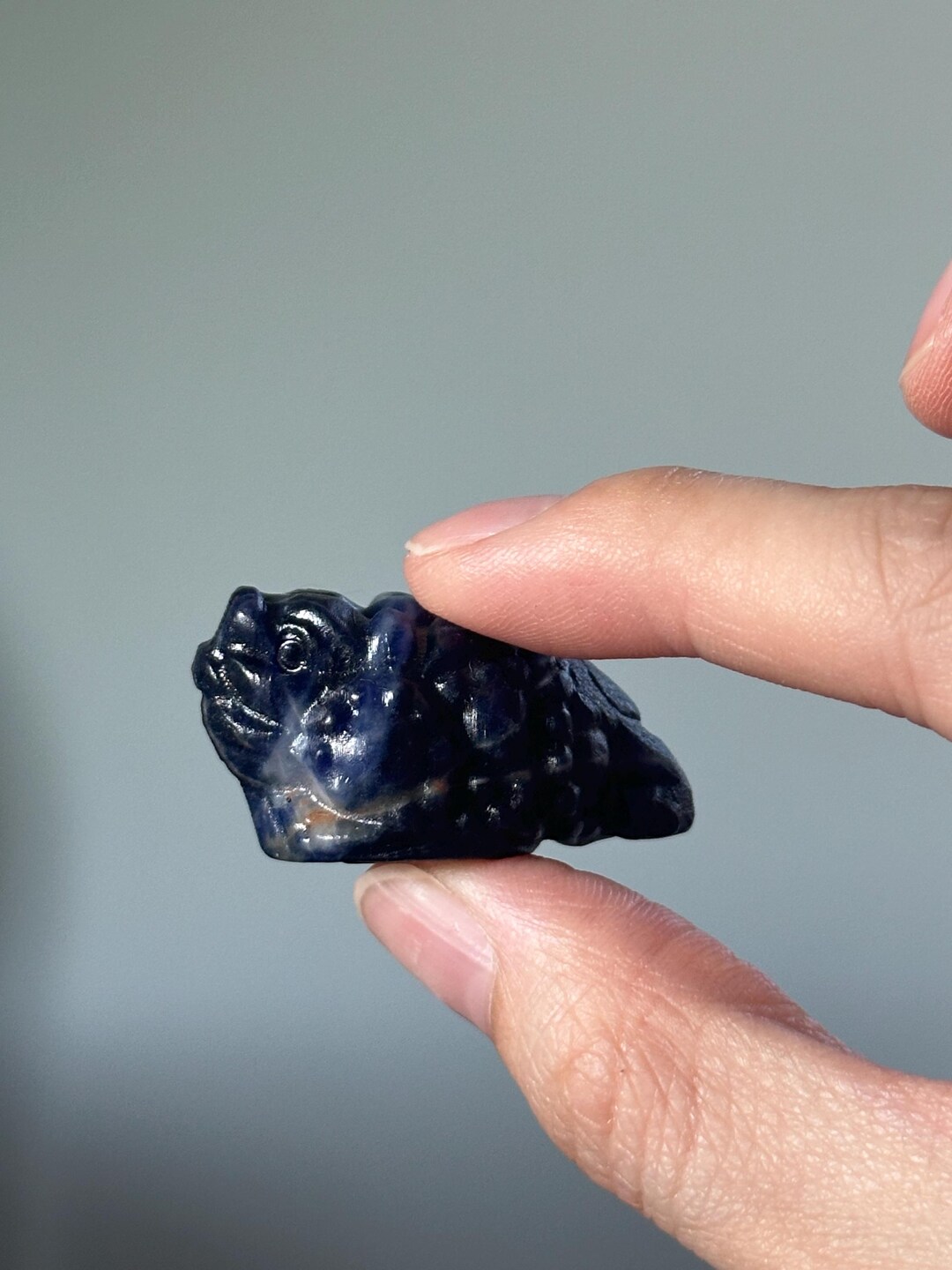 Sodalite Money Frog – Carved Crystal Wealth Toad, Natural Gemstone ...
