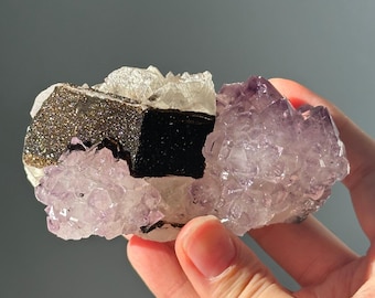 Op de afbeelding: Een mineraal specimen met een donker, rechthoekig mineraal met een glinsterend, goudbruin oppervlak. De kristallen zijn omgeven door lichtpaarse amethist en heldere kwarts. Het specimen wordt in een hand gehouden.