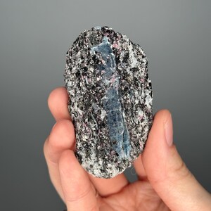 May include: A rough-hewn mineral specimen featuring a central, elongated blue crystal. The surrounding matrix is a mix of dark gray, black, and pinkish-purple minerals. The stone is held in a hand against a gray background.