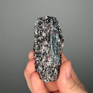 May include: A raw mineral specimen featuring a mix of black, white, pink, and blue crystals. The rough-hewn stone is held in a hand against a gray background. The mineral has a textured surface and a natural, unpolished appearance.