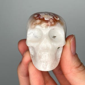 May include: A small, carved skull figurine. The skull is white with brown and orange marbling on the top. The eye sockets and nasal cavity are visible. The figurine is held in a person's hand.