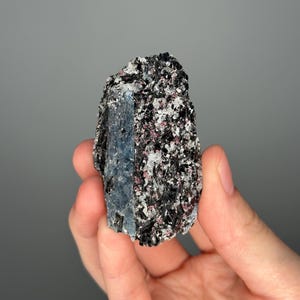 May include: A raw mineral specimen featuring a blue crystal formation with black, white, and pink flecks. The rough-hewn stone is held in a hand against a gray background. The mineral's surface has a textured, granular appearance.