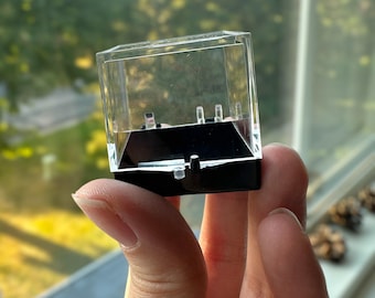 Perky Box for Mineral Specimens | Small Display Case | Clear Acrylic Box for Crystals and Fossils | Secure Storage for Collectors