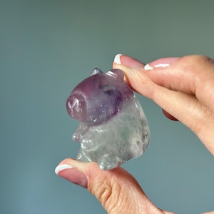 Fluorite Capybara – Carved Crystal Animal Figurine, Natural Gemstone Capybara Sculpture, Whimsical Crystal Decor, Unique Collector Piece