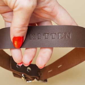 Sub Collar with Embossed Letters and Optional Locking Buckle in Brown Leather