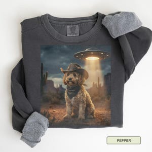 May include: Dark grey sweatshirt featuring a graphic of a dog wearing a cowboy hat and bandana, with a UFO above. The dog is in a desert landscape. The word "PEPPER" is in a rectangular box at the bottom.