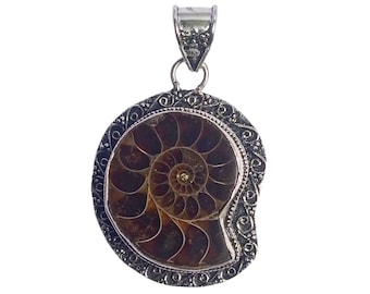 Ammonite Fossil Sterling Silber Anhänger, Alte snail shell Halskette, natürlicher Fossilien Schmuck