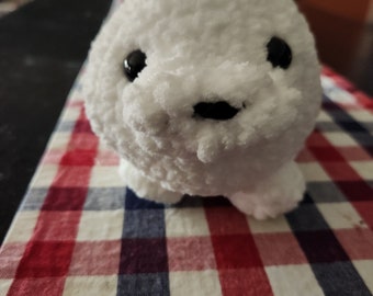 Introducing Sammy the Seal