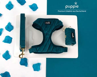 Premium All-in-One Emerald Blue Handmade, Sustainable Dog Harness Set for Small Dogs: High-Quality, Adjustable, Modern